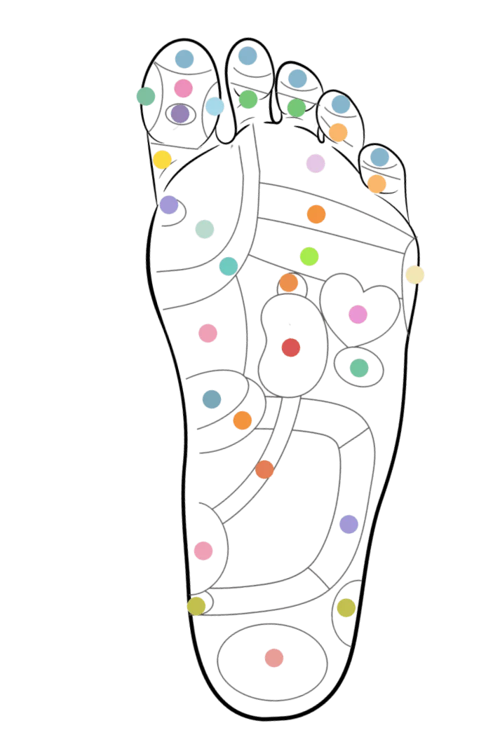 Magnet Therapy for Holistic Health